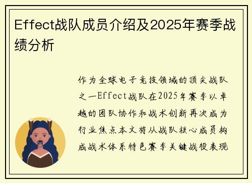 Effect战队成员介绍及2025年赛季战绩分析